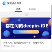 深度操作系统自研 deepin-IDE 开发工具首次亮相：代码开源，与 VS C